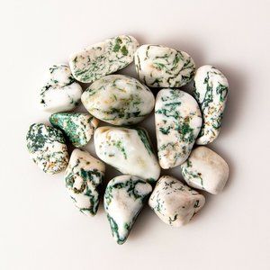 25g Tumbled Small Tree Agate Gemstone Crystals 10-20 Stones Dendritic Specimens